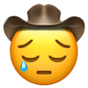 :sad_yeehaw:
