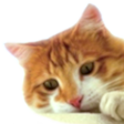 :seamus: