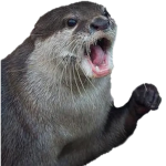 :AngerOtter: