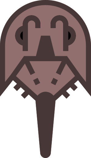 :horseshoe_crab:
