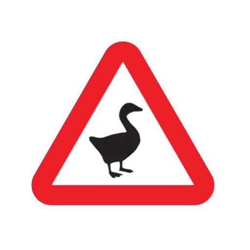 :goose_027: