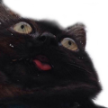 :blep: