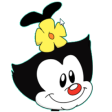 :Dot_animaniacs: