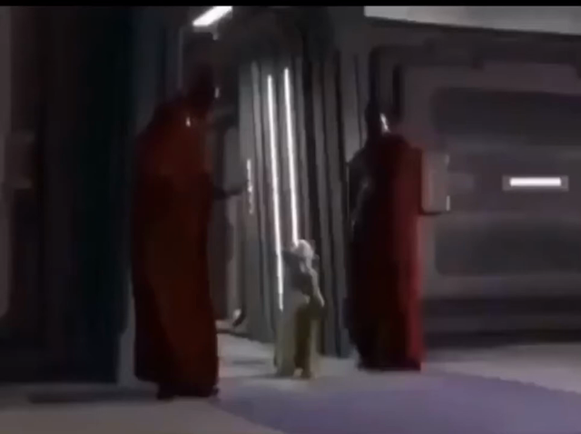 Yoda confronting a sith silently before saying "hamburge-" and it cuts off. Very compressed and low quality