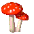 :spinning_mushrooms: