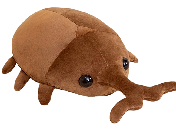 bestbeetle
