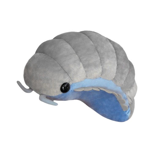 isopod