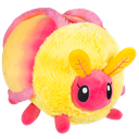 maple_morb
