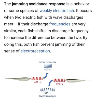 The jamming avoidance response is a behavior of some species of weakly electric fish. It occurs when two electric fish with wave discharges meet – if their discharge frequencies are very similar, each fish shifts its discharge frequency to increase the difference between the two. By doing this, both fish prevent jamming of their sense of electroreception. 